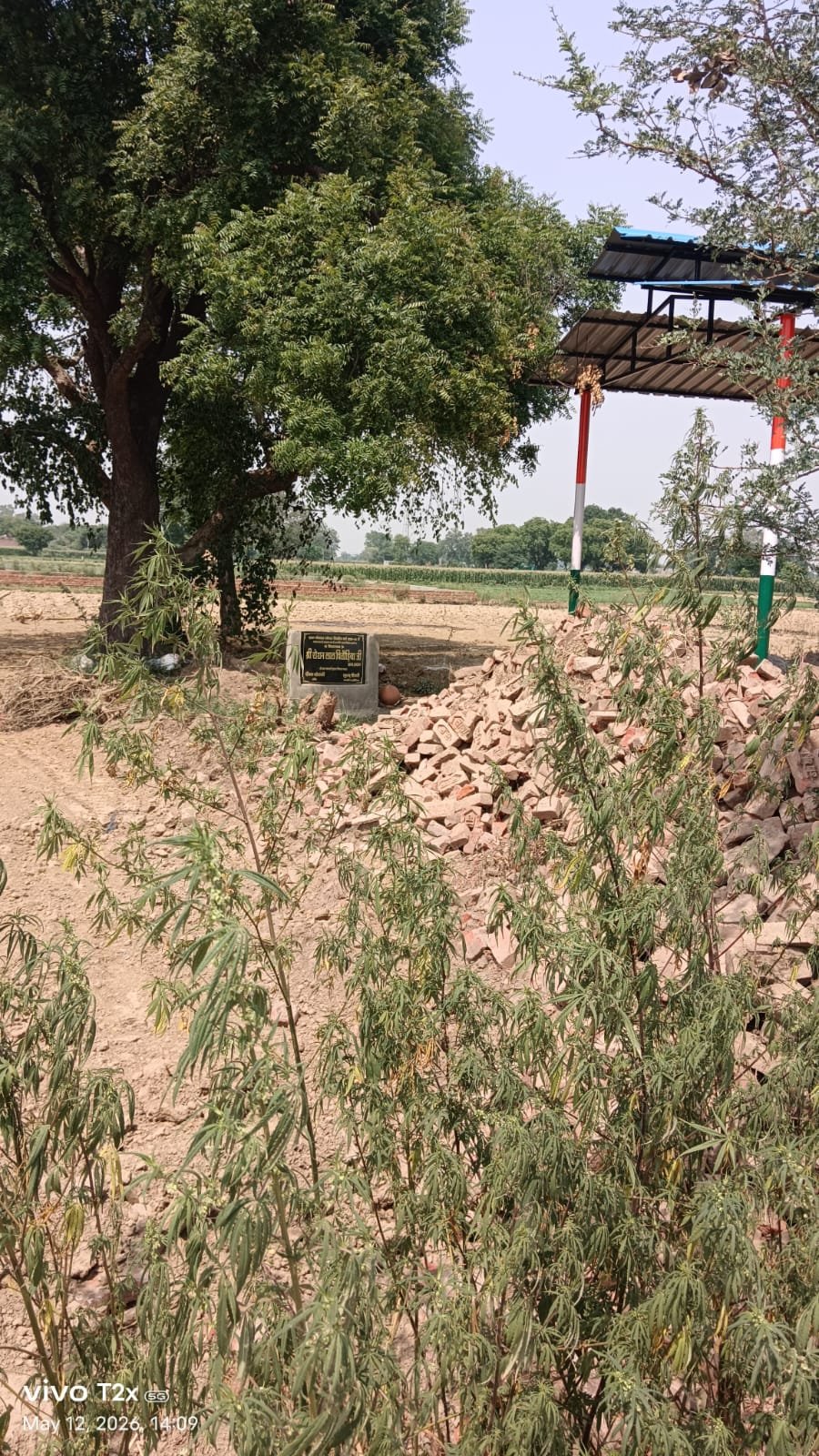 अछनेरा के नगला मंशा में भूमाफियाओं का दुस्साहस, रात के अंधेरे में श्मशान घाट पर चलाया बुलडोजर, हरे पेड़ काटे